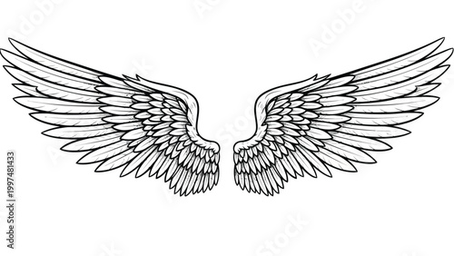 iluustration animals black and white vector