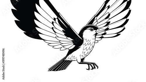 iluustration animals black and white vector