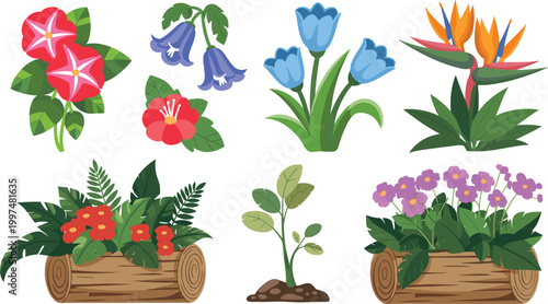 Garden flowers collection, colorful blooming plants and floral arrangements nature decorative vector illustration set