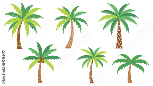 Set of six different green palm trees with brown trunks isolated on a white background for tropical island and summer vacation designs.