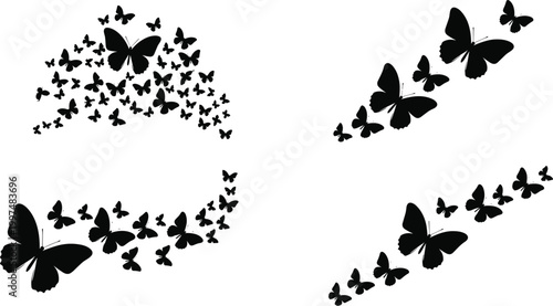 Collection of black butterfly silhouettes flying in swarms and curved paths isolated on white background for decorative graphic design elements