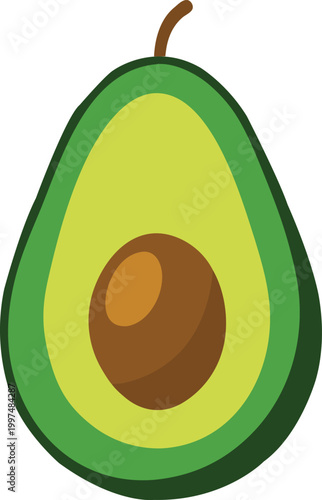Avocado vector fruit illustration.