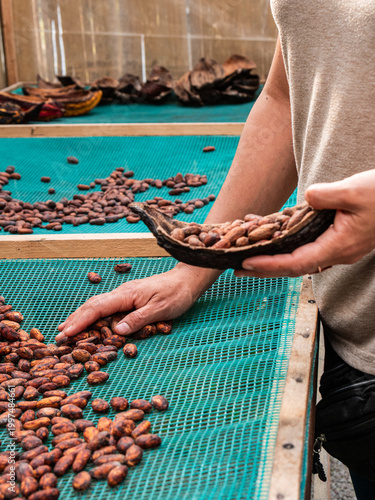 Woman Making Artisan Chocolate from Cacao Beans
