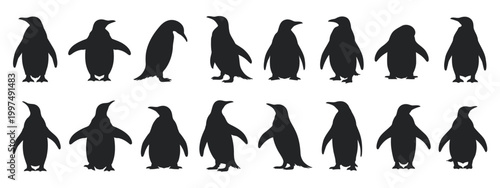 Black penguin silhouette set vector, different poses walking skating isolated on white background clean minimal wildlife illustration
