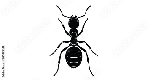 Ant silhouette vector illustration in black with detailed insect body structure for biology education pest control logos and modern graphic design use