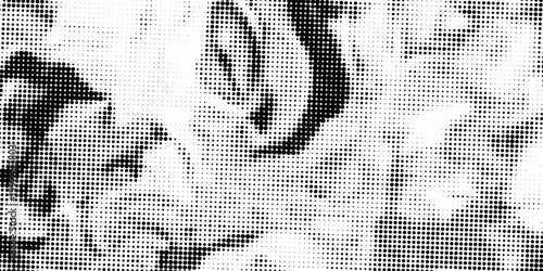 Black halftone dots create a smooth gradient fading upward into a white background, forming a clean abstract texture.