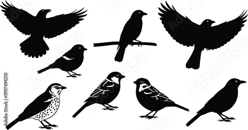 Collection of various black bird silhouettes including flying ravens and perched songbirds isolated on a white background for nature graphic design