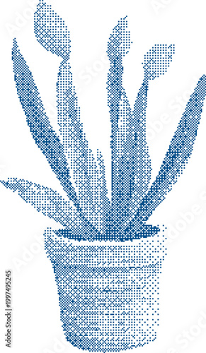 Blue Dotted Houseplant in a Textured Pot with Soft Natural Light