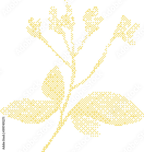 Delicate yellow plant branch with small flowers and leaves in soft light