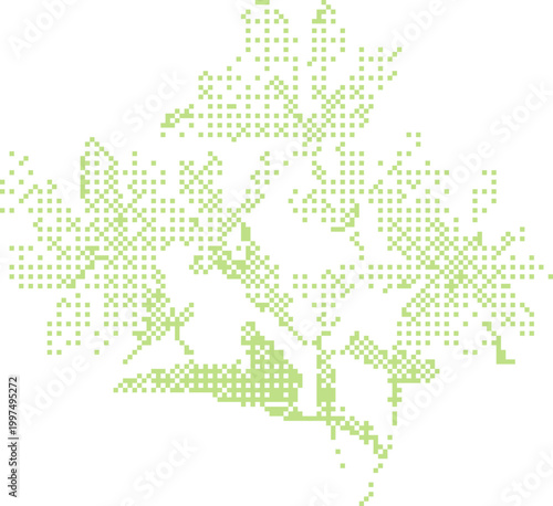 Close-up of a delicate green plant leaf with intricate vein patterns during daylight