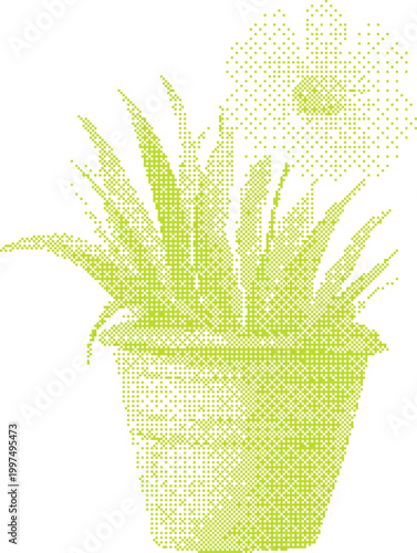 Green potted succulent with bloom in a minimalist halftone dot pattern
