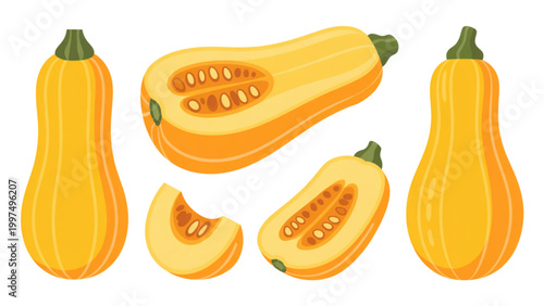 Freshly sliced yellow squash and zucchini pieces on a clean surface Vector