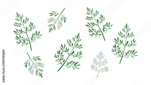 Small green fern leaves scattered on a clean background Vector