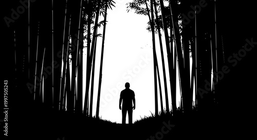 Silhouette of a Man Standing in a Bamboo Forest Towards Bright Light