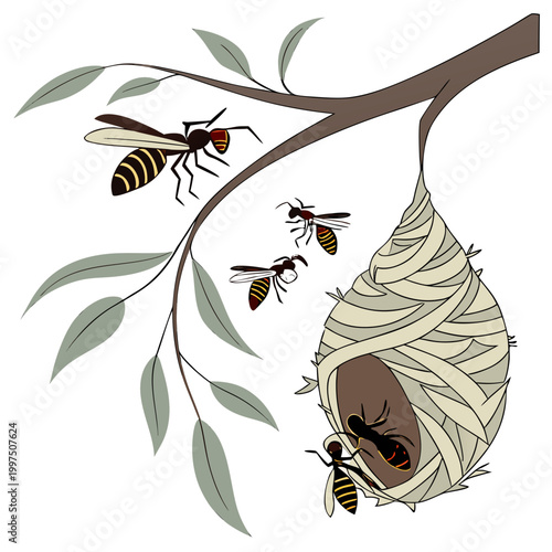 A wasp nest hangs from a tree branch with wasps flying around it