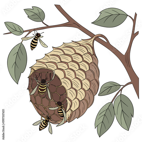 A wasp nest hanging from a tree branch with wasps flying around it