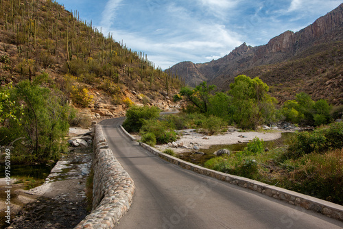 A bridge on the Tram Road crosses a creek in Sabino Canyon Recreation Area with a view of saguaro cacti on a hill, set against a blue sky with clouds. Tucson, Arizona, USA.