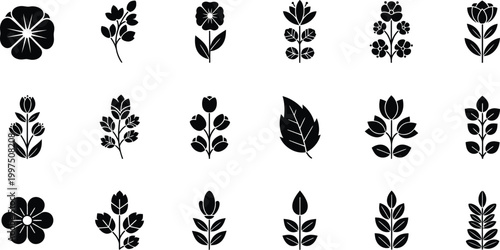 Collection of black floral and leaf on white background, flower plant nature