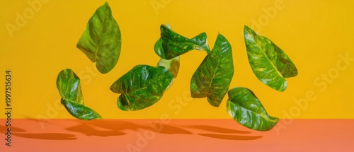 Green tropical leaves flying against a yellow background with harsh shadows to represent air purification and freshness for wellness and eco friendly branding copy space