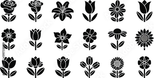 Collection of black silhouette flower including roses, tulips, lilies, and sunflowers white
