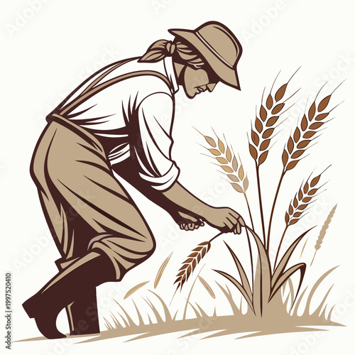 Man harvesting wheat overalls white shirt