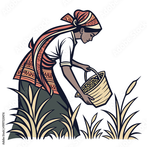 Woman collecting grains from plants farming
