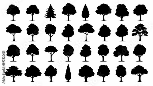 collection of twenty one tree silhouettes on white background high quality