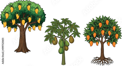 Tropical fruit trees vector illustration set featuring mango papaya and orange trees with ripe fruits detailed foliage nature garden clipart collection