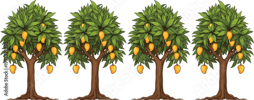 Mango fruit trees vector set with ripe yellow mangoes lush green foliage realistic tropical orchard plants isolated illustration collection