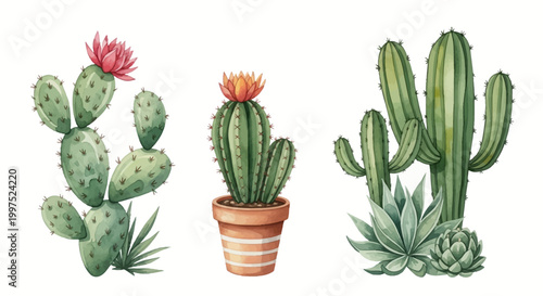 Watercolor cactus illustration featuring prickly pear with pink flower, barrel cactus in terracotta pot, and saguaro with agave succulents isolated on a white background.