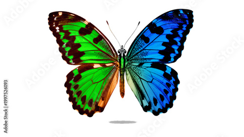Photorealistic butterfly with contrasting vibrant green and blue wings, symbolizing a beautiful transformation and the duality of nature's artistry