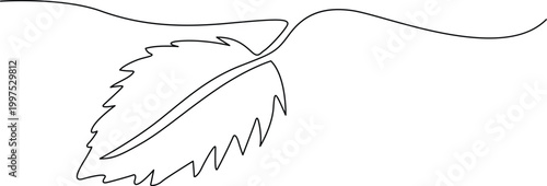 Simple leaf attached to a thin stem illustration Vector