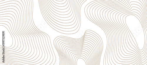 Abstract topographic lines art, a serene and minimalist design, creates a sense of depth and flow through overlapping contours. The interplay of light and shadow subtly emphasizes the organic forms.