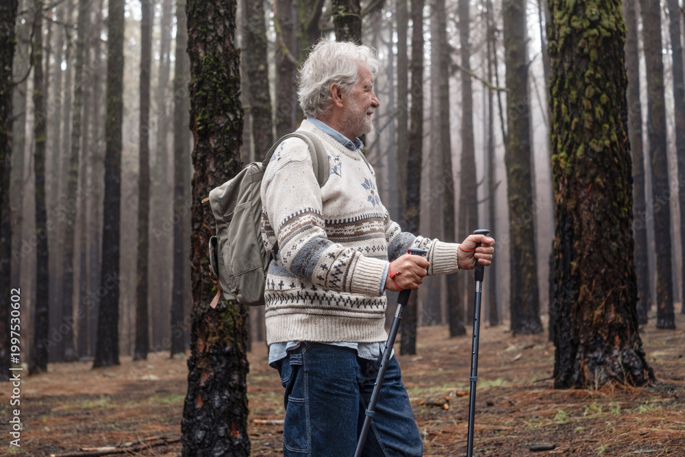 Fototapeta premium Senior Man Hiking Through Misty Pine Forest With Backpack And Trekking Poles On Nature Walk