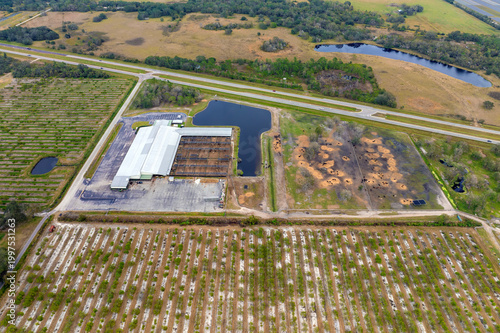 Aerial view of feed yard with meat cows. Feeding of cattle on farm feedlot