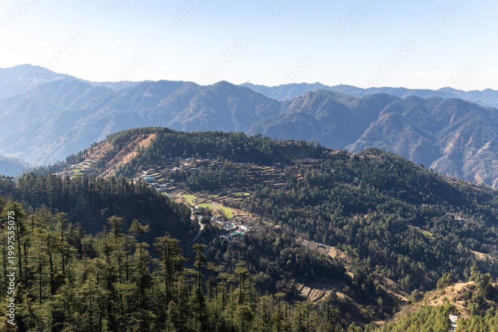 Obraz premium panoramic view of misty mountain valley with dense pine forest landscape