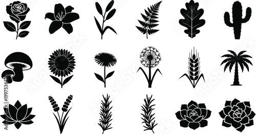 Collection of black silhouette of various plants and flowers on white background, rose lily fern oak leaf