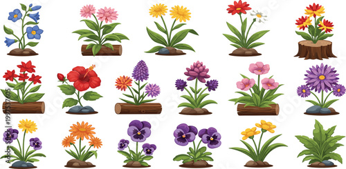 Beautiful Collection of Spring Garden Flowers Growing in Wood Logs and Stone Basins Featuring Hibiscus Pansies and Lilies for Landscaping Gardening and Botanical Nature Graphic Design Illustrations