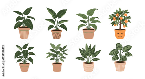 Variety of green houseplants in decorative ceramic pots including an orange tree with a happy smiling face on the planter.