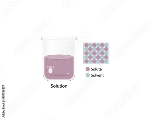  Solutions. Solubility homogeneous mixture. Solute, solvent and solution. Dissolving solids. Chemistry. Educational diagram. Conical flask, isolated on white background. Vector illustration.