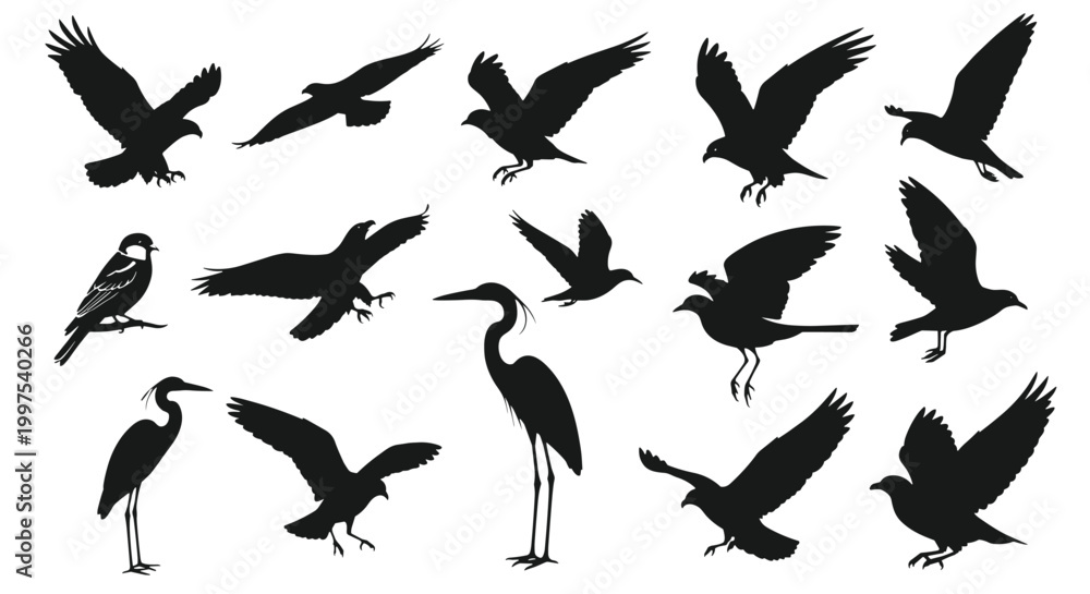 Fototapeta premium Diverse collection of bird silhouettes including eagles, crows, herons, and smaller birds in different poses and flight positions.