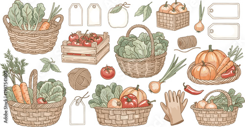 Farm Fresh Harvest Vegetable Collection Featuring Wicker Baskets Pumpkins Tomatoes Carrots and Garden Produce Rustic Vector Illustration Set