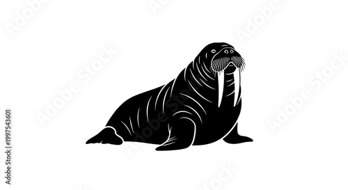 Black Walrus Silhouette on White Background - Wildlife Illustration