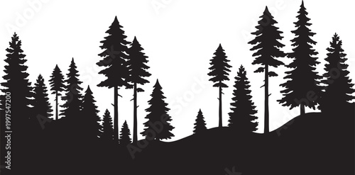 A dense forest silhouette composed of various evergreen trees and undulating ground in black and white