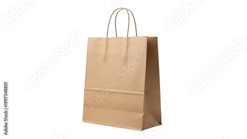 Brown paper shopping bag with twisted handles