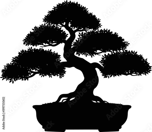 Miniature bonsai tree silhouette growing in a ceramic pot