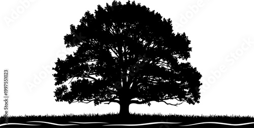 Spreading oak tree outline on a grassy horizon