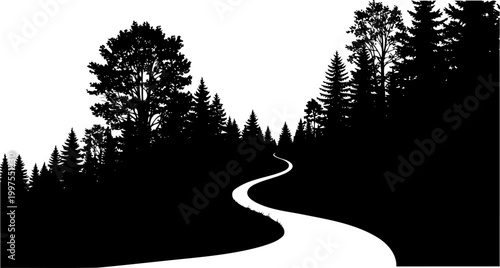Winding path leading through a dense forest silhouette