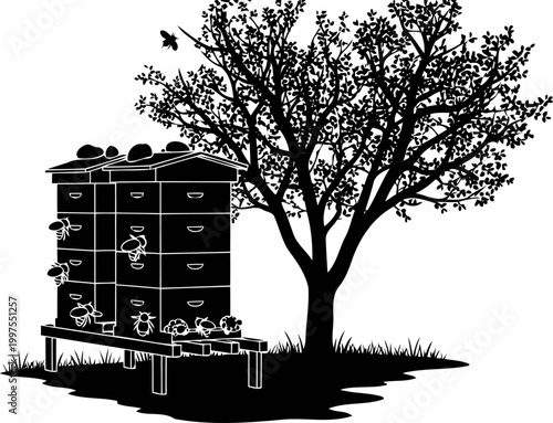 Wooden beehives in an apiary next to a large tree silhouette