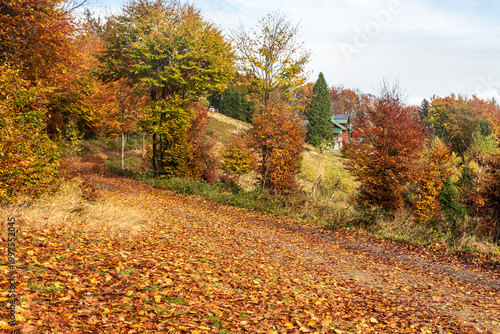 Fotografie Autumn on Gron Jana Pawla II